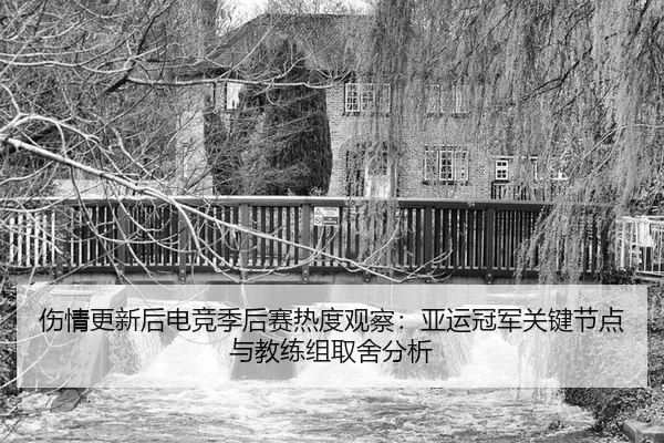 伤情更新后电竞季后赛热度观察：亚运冠军关键节点与教练组取舍分析